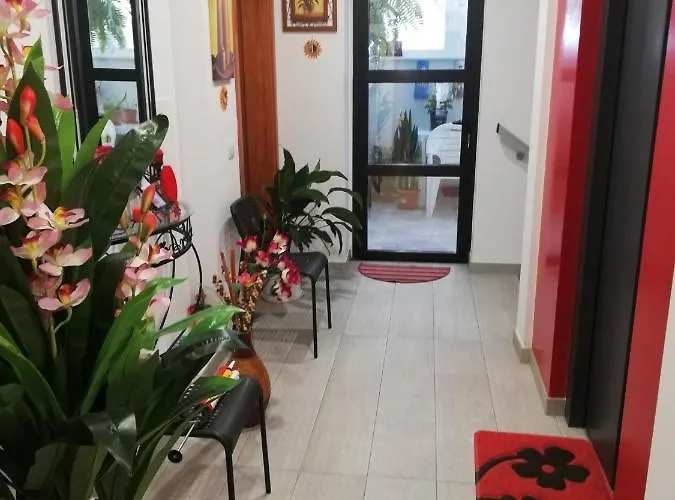 Chajofe 8 Apartmán *