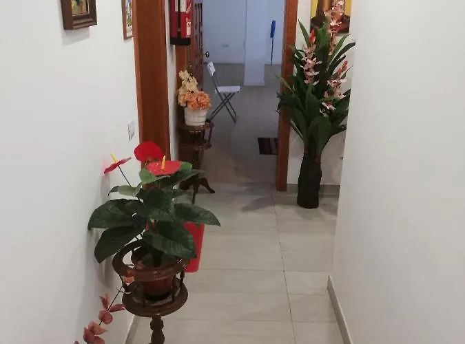 Chajofe 8 Διαμέρισμα Los Cristianos (Tenerife)