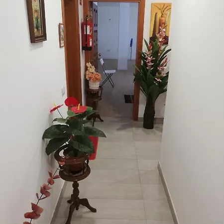 Chajofe 8 Apartmán Los Cristianos (Tenerife)